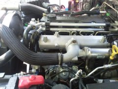 2010-08-12 12.46.38.jpg