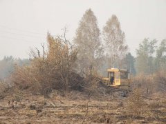 Идет расчистка территории под строительство