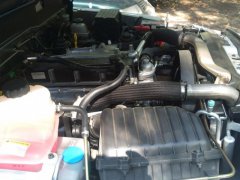 2010-08-12 12.46.11.jpg
