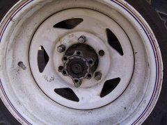 PICT0054.JPG