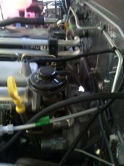 2010-08-12 12.48.20.jpg