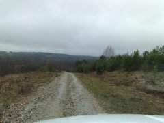 25042010887.jpg