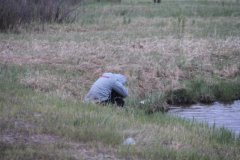 IMG_6746.JPG