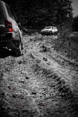 IMG_8360-2.jpg