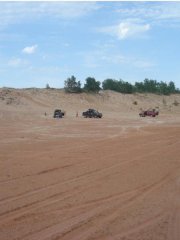 DSC02625-1.jpg