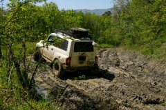 IMG_8316.jpg