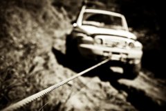 IMG_8404.jpg