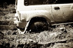 IMG_8222.jpg