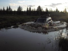 Дорога тысячи луж