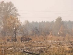 Пепелище