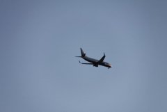 IMG_0039 [1024x768].JPG