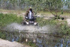 IMG_0260 [1024x768].JPG