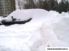 IMG_8782.JPG
