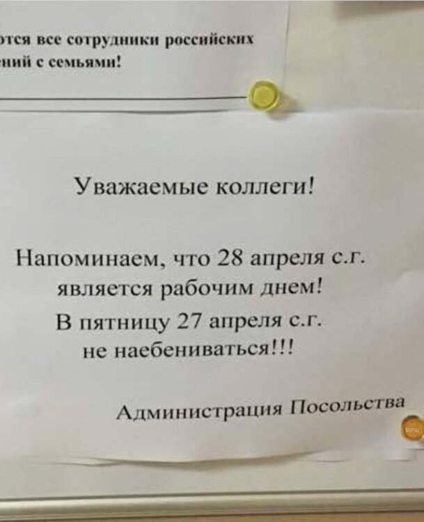 Dl9N7ys7nt8.jpg