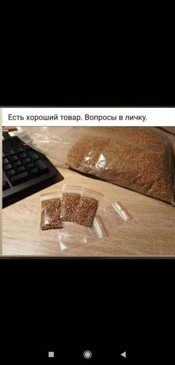 90AD02CC-D47A-4F03-9C3C-67F3718C6219.jpeg