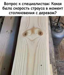 image.png.e2767c54dda30a678d155cf1fecf01cc.png