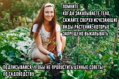 image.png.729e59c712acb66bd6e68241719fd6fa.png