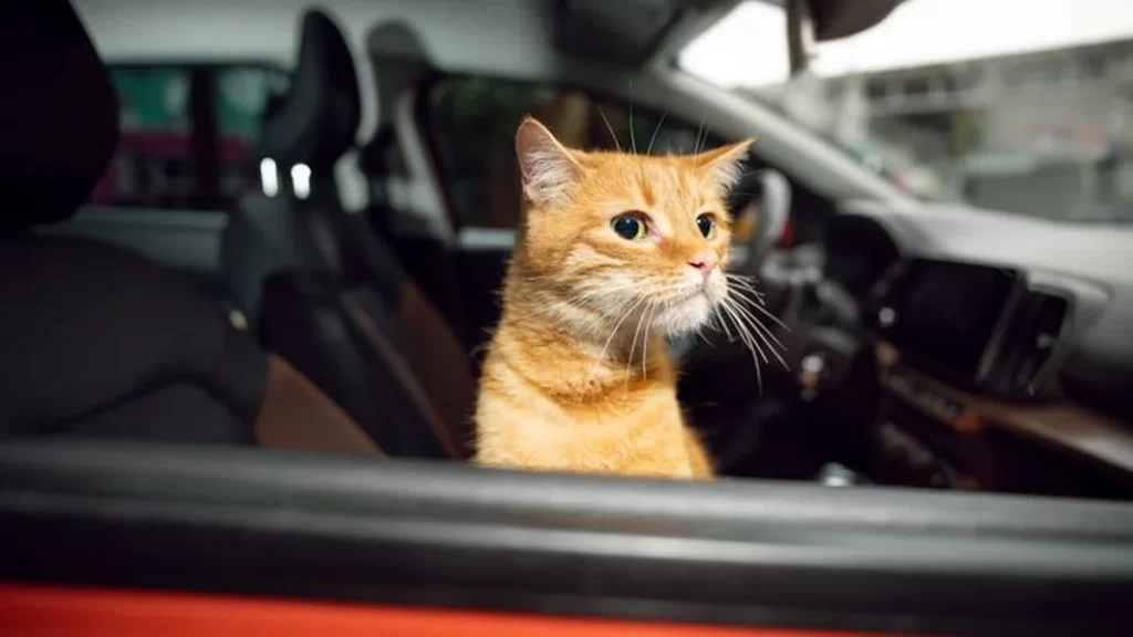 Фото АвтоВАЗ