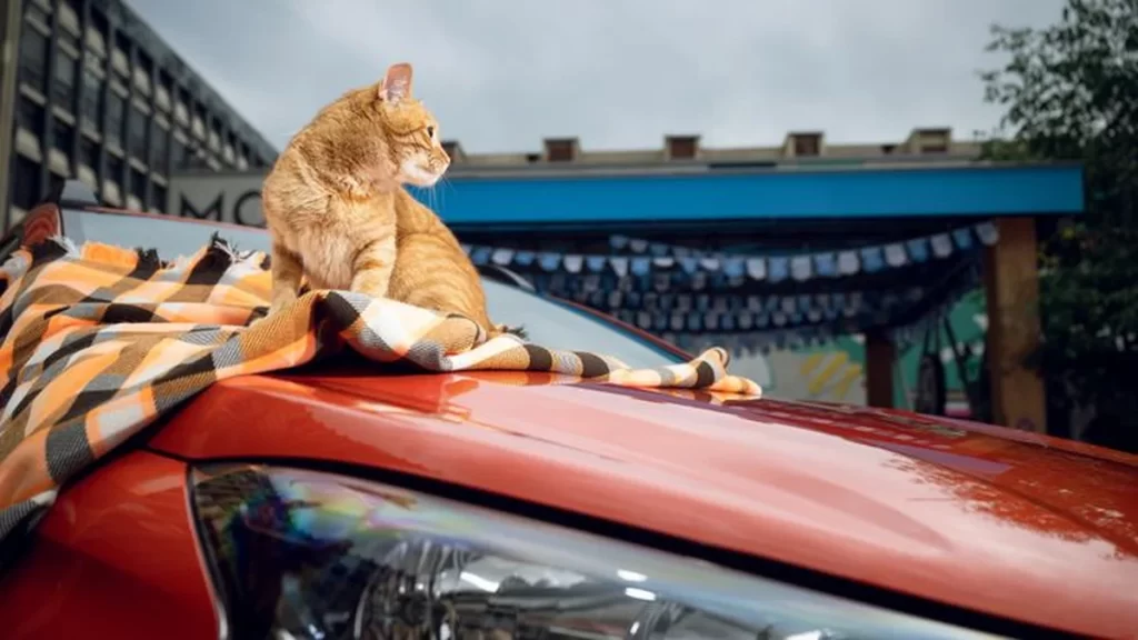 Фото АвтоВАЗ