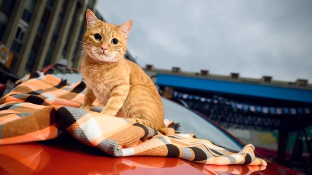 Фото АвтоВАЗ